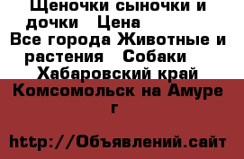 Щеночки-сыночки и дочки › Цена ­ 30 000 - Все города Животные и растения » Собаки   . Хабаровский край,Комсомольск-на-Амуре г.